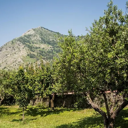 Casa Dal Cavaliere Holiday home Montesarchio